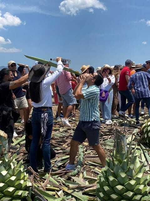 Mezcal Tour Oaxaca - What the highly praised guiding means for you