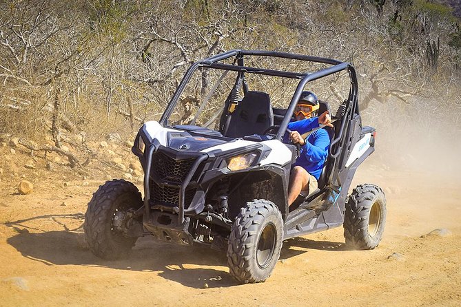 Migriño & Desert off-road Tour UTV Adventure - Timing, heat, and group comfort