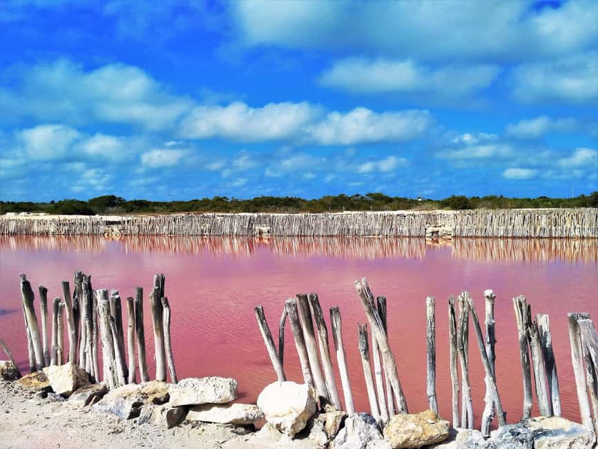 Motul, Hacienda, Xcambo, Pink Salt Mine & Progreso Day Trip - Progreso gives you the afternoon