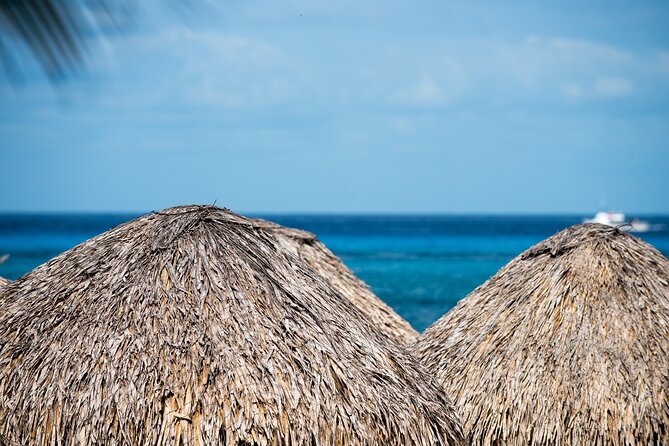 Mr. Sanchos Beach Club All-Inclusive Day Pass - Food, buffet meals, and table service