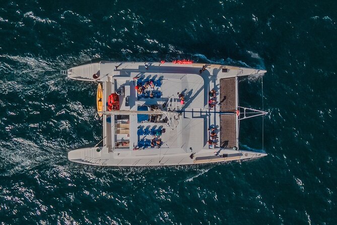 Multimillion Yacht Cabo Cruise Sunset or Snorkel Optional PICKUP! - Whales, sea lions, and snorkeling expectations
