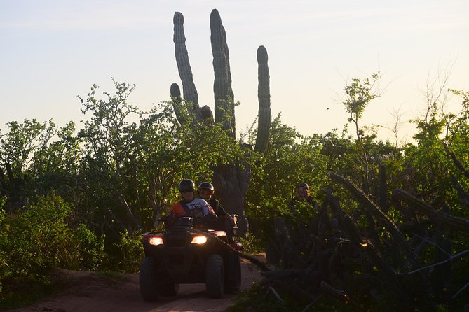 New!!! Extreme Beach & Desert Off-Road Atv Experience… - Single ATV or double ATV?