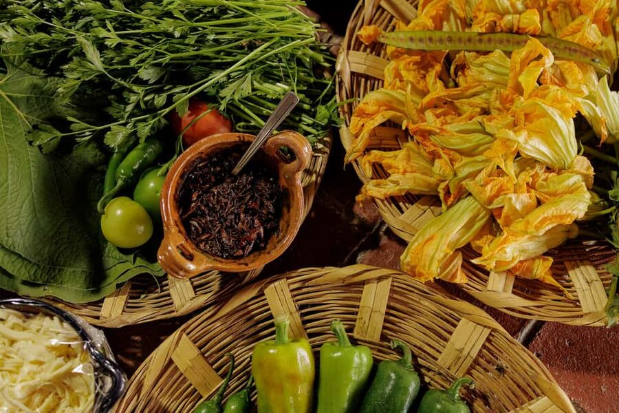 Oaxaca de Juarez: Traditional Oaxacan Cooking Class - Start with the ingredients of an Oaxacan home