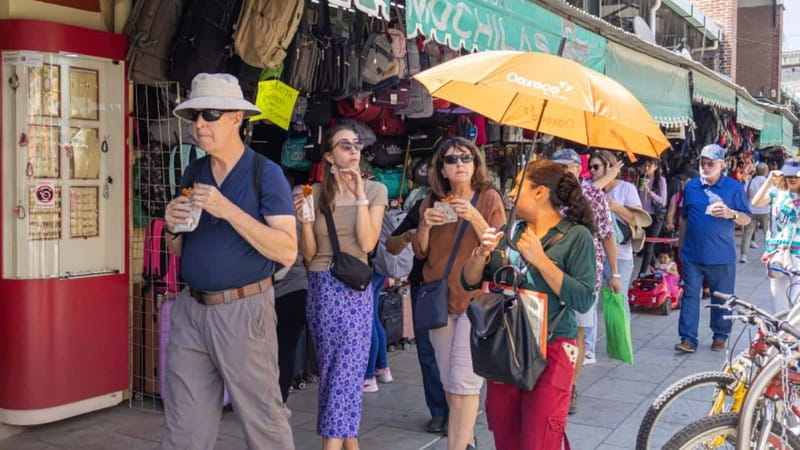 Oaxaca: Food and Markets Tour - Who should book this Oaxaca food tour