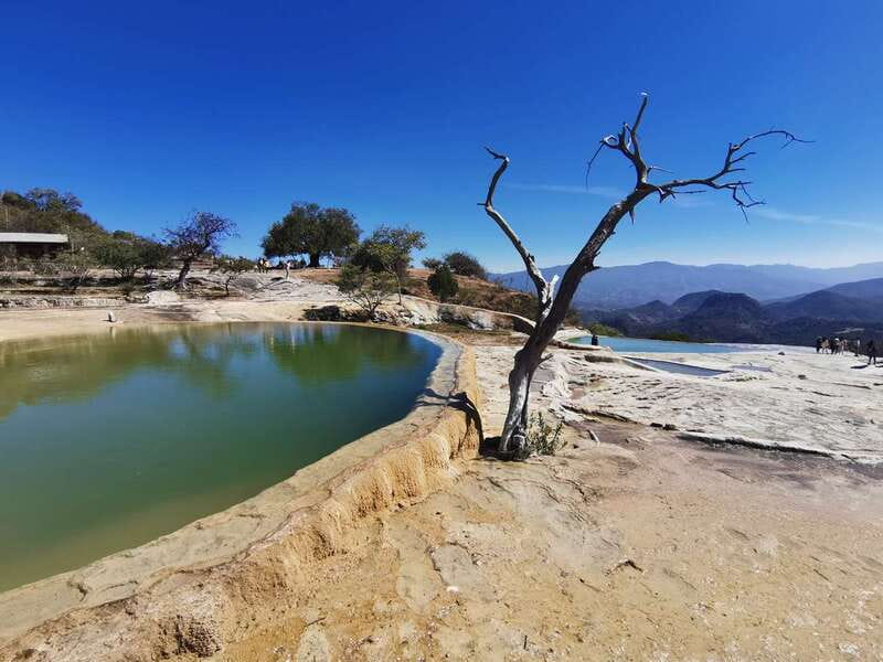 Oaxaca: Full Day Guided Tour on the Hierve el Agua Route - A buffet of Oaxacan food, with an extra cost