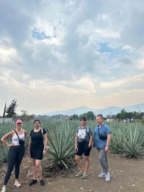 Oaxaca: Hierve el Agua & Mezcal Distillery Small-Group Tour - Key points to know before booking