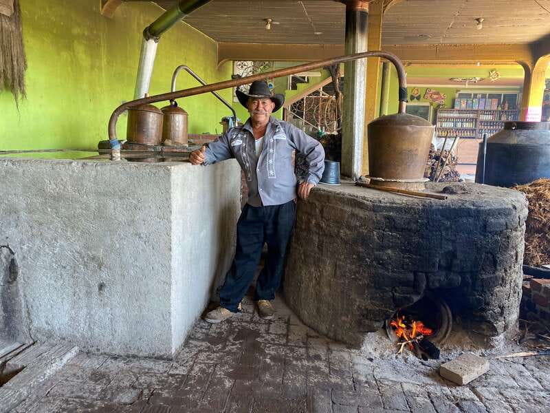 Oaxaca: Mezcal Adventure - Key points to know before booking