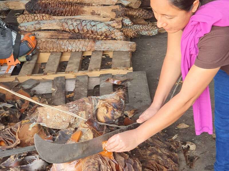 Oaxaca: Mezcal Adventure - Small tips for making the day better