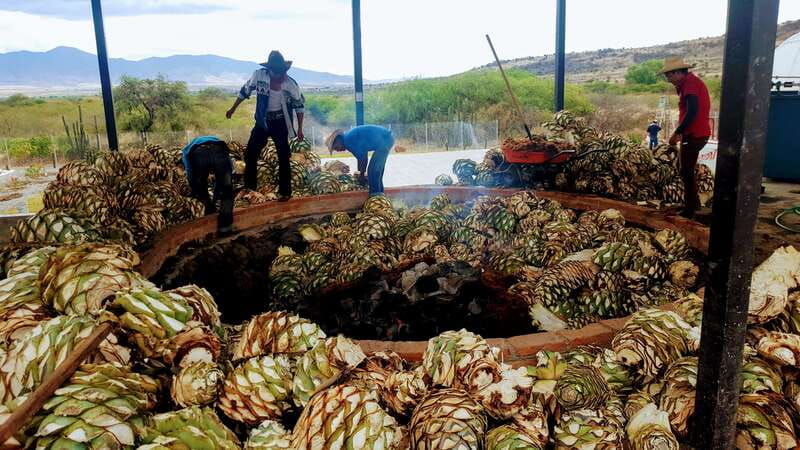 Oaxaca: Mezcal Adventure - First palenque: family methods and a rustic setting
