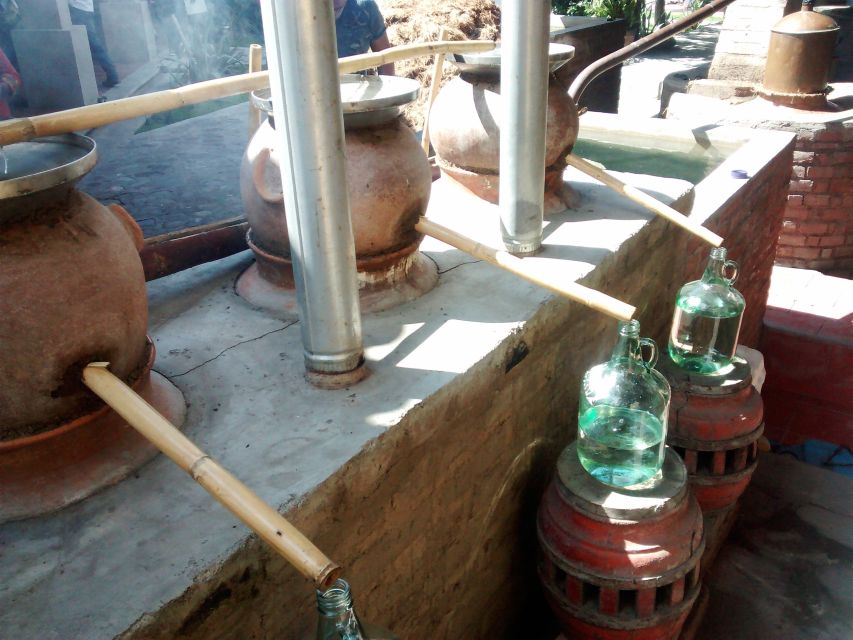Oaxaca: Mezcal Adventure - Second palenque: a more polished artisanal operation