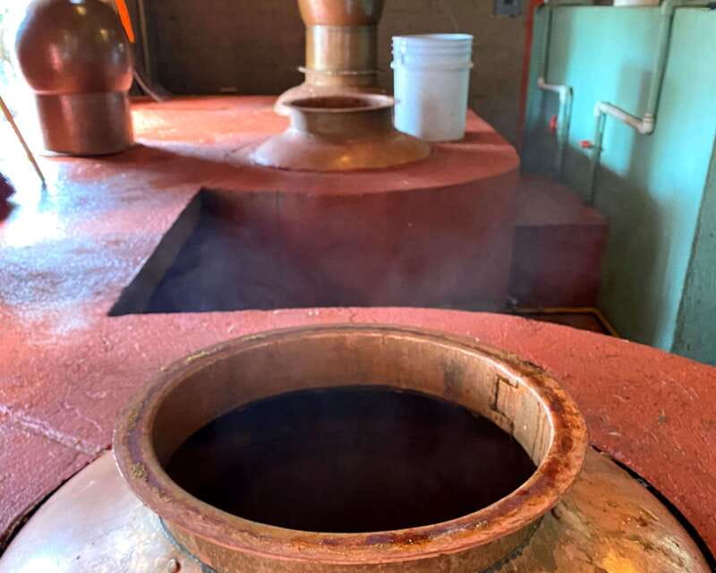 Oaxaca: Mezcal Adventure - What $113 buys you in practical terms