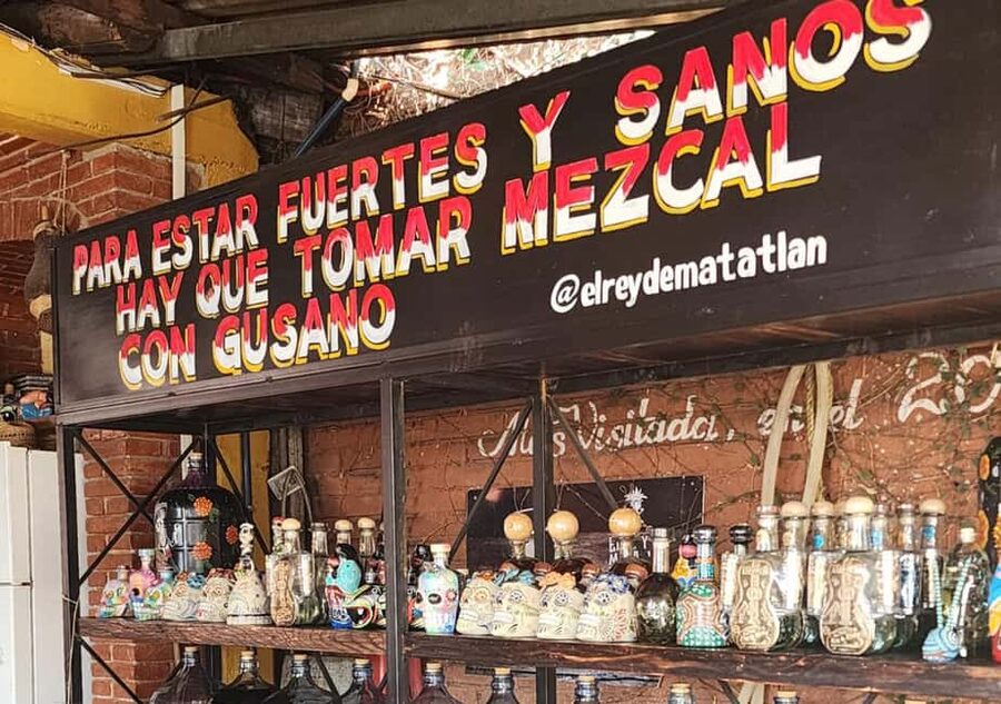 Oaxaca: Tule, Mitla & Hierve el Agua, & Mezcal Tour - Transport, guides, and the value of door-to-door service
