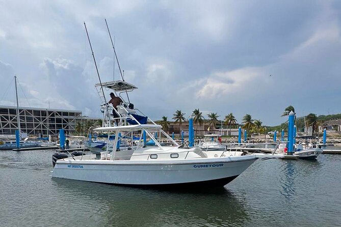 Ocean Eco Adventure with Marine Biologist Guides - Snorkeling away from the big boats