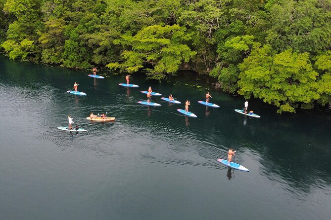Paddle at Dawn with visit to Cenotes and Islands - Key points to know before booking
