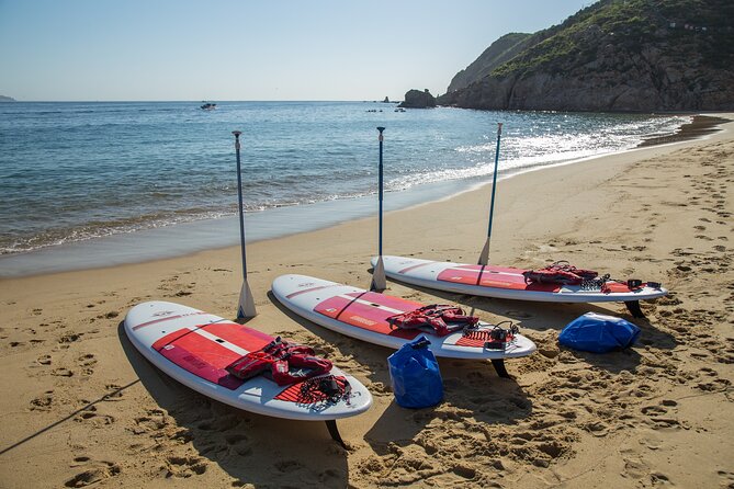 Paddleboard Expedition to the Arch of Cabo San Lucas, Lovers Beach & Snorkel - Why the small group and guide matter