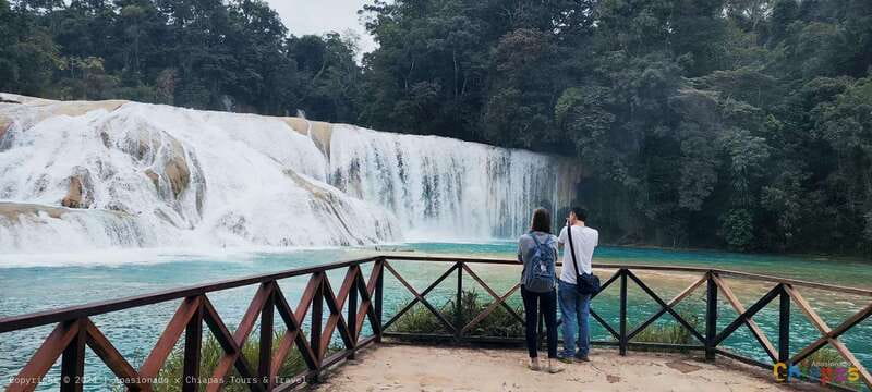 Palenque: Palenque Ruins, Agua Azul Waterfalls and Misol-Ha - Three hours among Palenque’s Maya temples