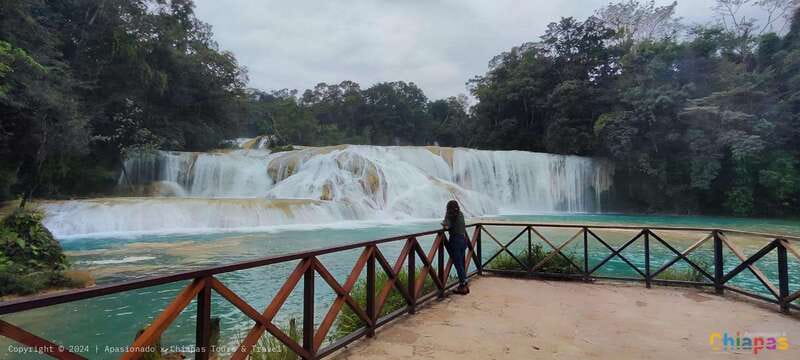 Palenque: Palenque Ruins, Agua Azul Waterfalls and Misol-Ha - What to pack for heat, spray, and a long ride