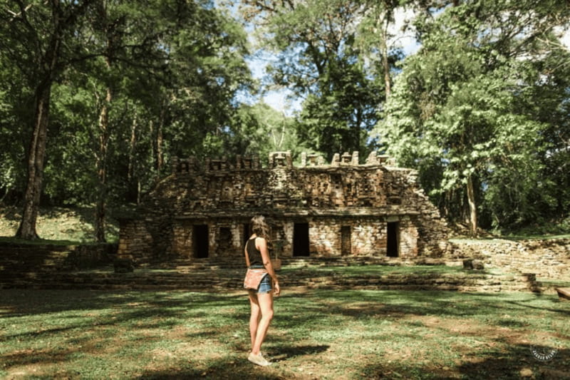 Palenque: Yaxchilán and Bonampak Archaeological Area Tour - A transportation tour, not a fully guided archaeological tour