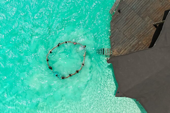 Photography and Filming with drone and camera - Edited photos and video, not just quick snapshots