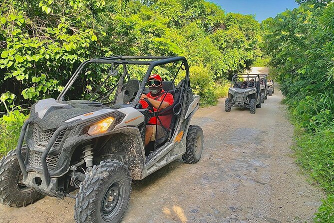 Playa del Carmen Buggy Tour with Cenote Swim and Mayan Village Visit - Is the $99 price good value?