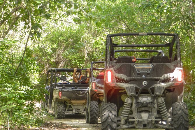 Playa del Carmen Buggy Tour with Cenote Swim and Mayan Village Visit - What the buggy ride feels like