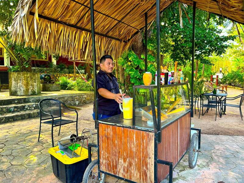 Playa del Carmen: Chichen Itza, Valladolid, Cenote & Buffet - Key points to know before booking