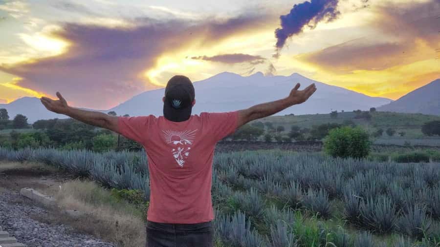 Premium Tequila Route with professional tasting - Amatitán views, swings, and a second tasting