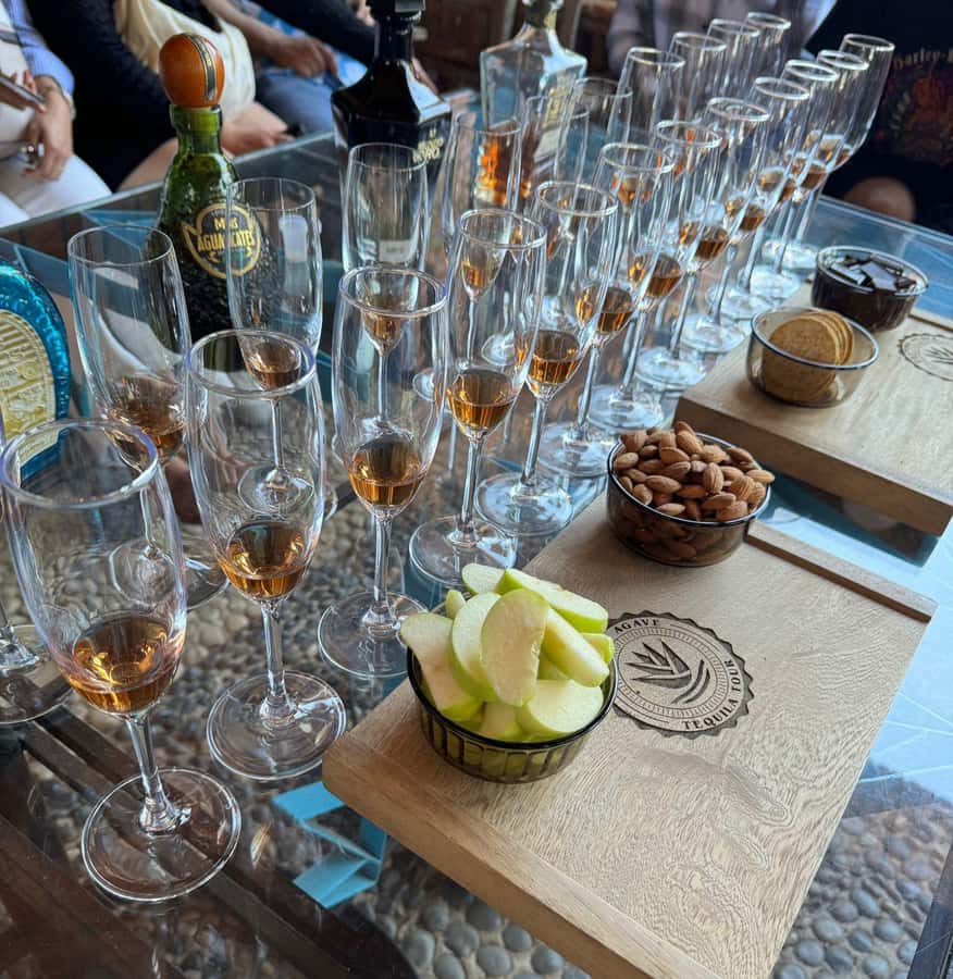 Premium Tequila Route with professional tasting - Who should book this tequila route