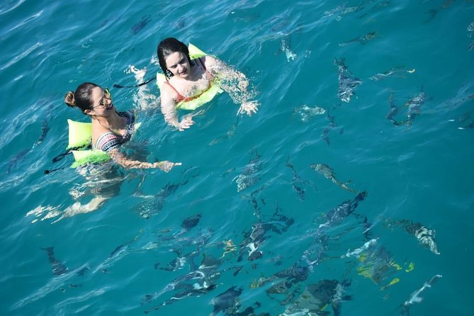 Private Catamaran Snorkeling Cruise in Los Cabos - Booking details worth checking before you pay