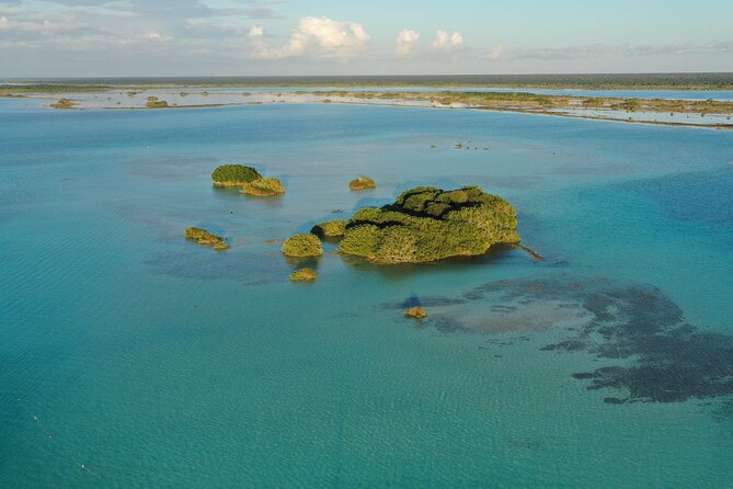 Private Catamaran Tour - Isla de los Pájaros at the Quiet End of the Route