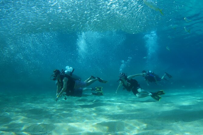 Private Dive Boat for Certified Divers - Cabo San Lucas - Why the five-minute boat ride matters