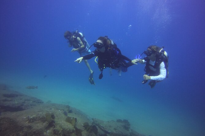 Private Dive Boat for Certified Divers - Cabo San Lucas - A useful refresher for certified divers