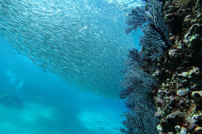 Private Dive Boat for Certified Divers - Cabo San Lucas - The surface interval beside Cabo’s famous Arch