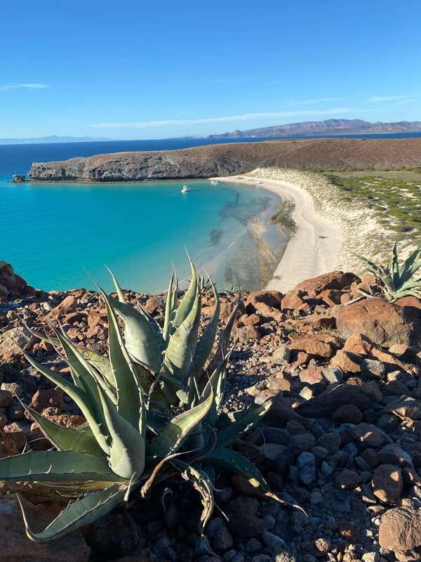 Private experience from Cabo San Lucas to La Paz: (Balandra beach) - Why this Cabo to La Paz day trip works