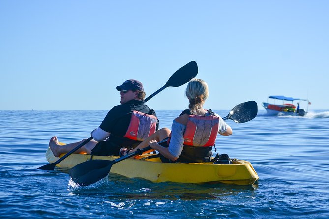 Private Glass bottom Kayak and snorkel at two Bays - Practical booking details that matter