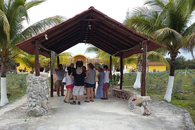 Private Jeep Excursion in Cozumel with Lunch and Snorkeling - San Gervasio, the island’s important Mayan site