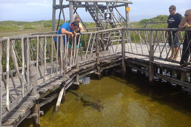Private Jeep Excursion in Cozumel with Lunch and Snorkeling - Driving the Jeep, or riding with your guide