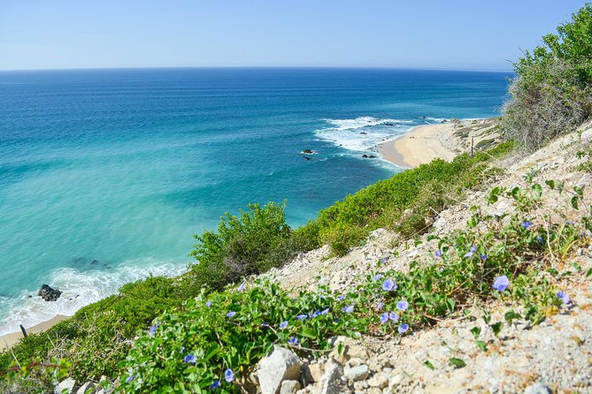 Private Jeep Tour Cabo Pulmo - Cabo Pulmo National Park is the heart of the day