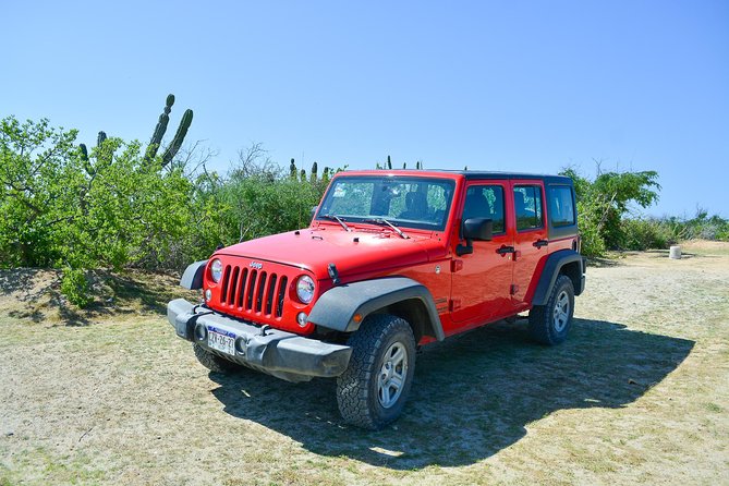 Private Jeep Tour Cabo Pulmo - Guides make the long day easier