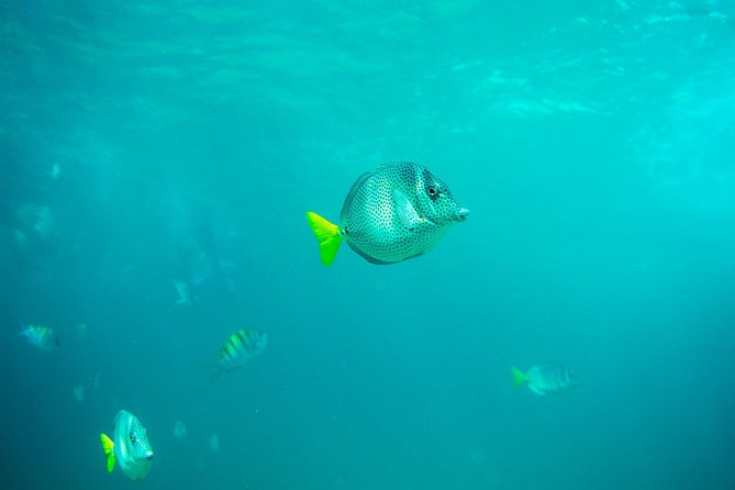 Private Los Cabos Arch & Playa del Amor tour by Glass bottom kayak - Launching from the beach, not a boat