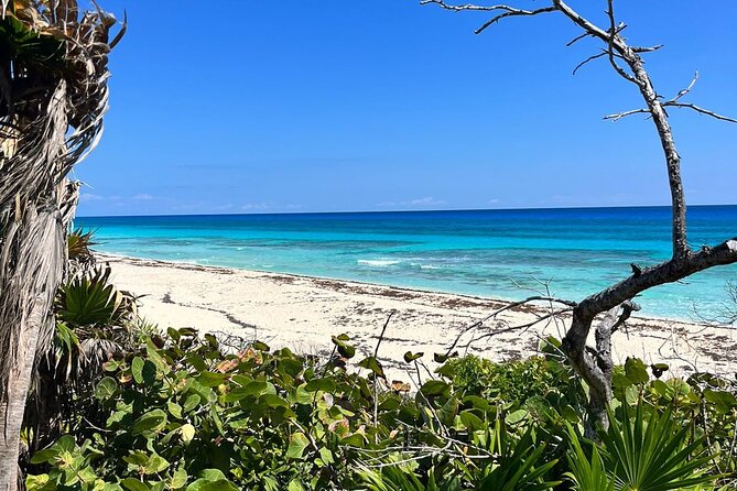 Private Mayan Ruins Tour with Cenote/caves and Mexican Picnic - El Mirador and the Caribbean view