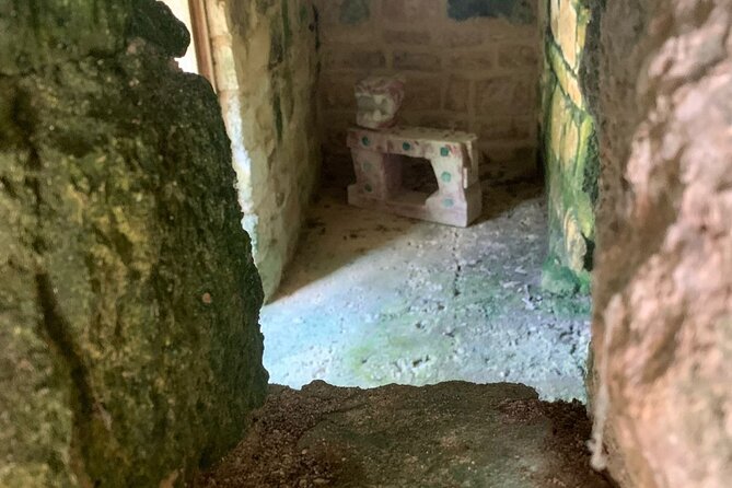 Private Mayan Ruins Tour with Cenote/caves and Mexican Picnic - Rancho Alejandra and the tequila lesson