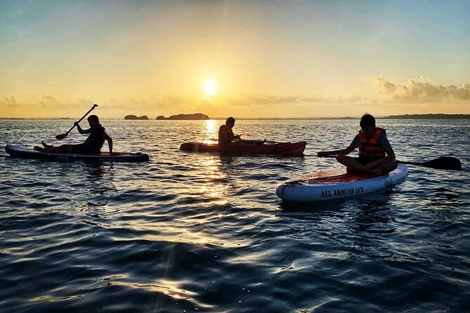 Private Paddle Tour at Sunrise - Sunrise on the way to Bird Island