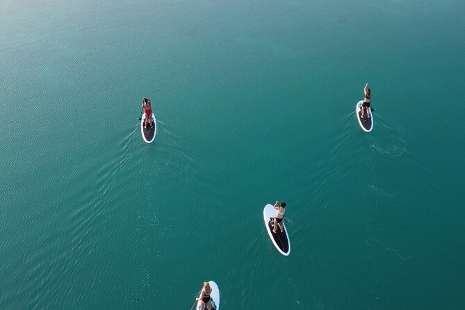 Private Paddleboard Experience in Bacalar - Photos let you enjoy the water instead of managing a camera