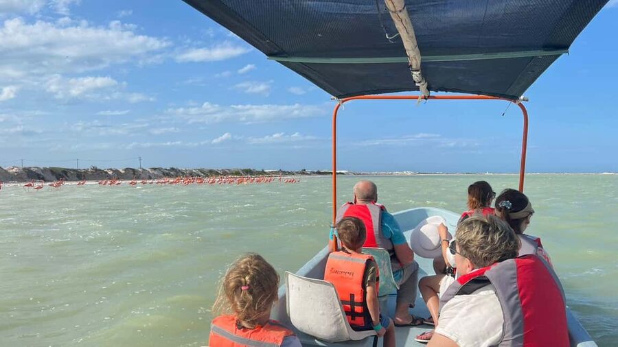 Private Ría Lagartos Boat Tour: Flamingos & Crocodiles - Who will enjoy this Ría Lagartos outing?