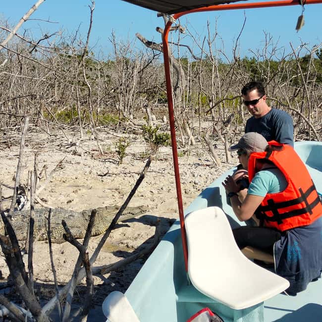 Private Ría Lagartos Boat Tour: Flamingos & Crocodiles - What the guides add to the ride