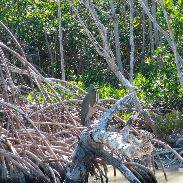 Private Ría Lagartos Boat Tour: Flamingos & Crocodiles - Rinsing off at a quiet beach