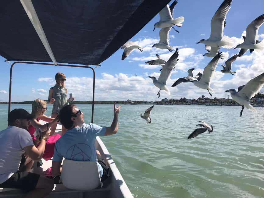 Private Ría Lagartos Boat Tour: Flamingos & Crocodiles - Timing, meeting point, and practical details