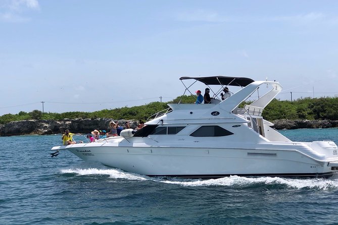 Private SeaRay 47ft Yacht Rental Cancun 23P6 - Snorkeling from the yacht