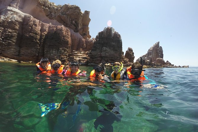 Private Snorkeling Tour in Cabo San Lucas - Marine life, with nature in charge